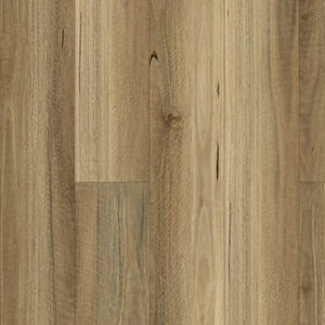 QLD SPOTTED GUM HYBRID SPC 7.5MM