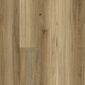 QLD SPOTTED GUM HYBRID SPC 7.5MM