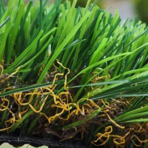 artificial turf Geelong, supply and install